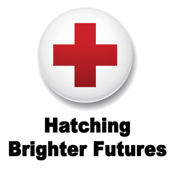 Jonathan Galland - Hatching Brighter Futures