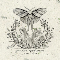 Sam Wilson - Groundless Apprehensions