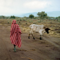 Stalawa - In East Africa