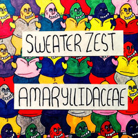 Sweater Zest - Amaryllidaceae