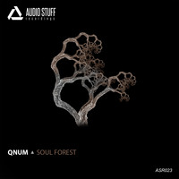 QNUM - Soul Forest