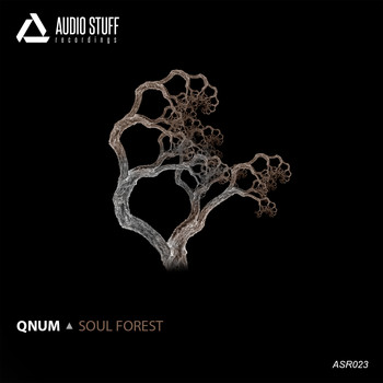 QNUM - Soul Forest