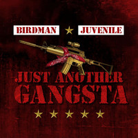 Birdman - Just Another Gangsta