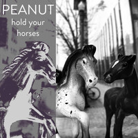 Peanut - Hold Your Horses (Demo)