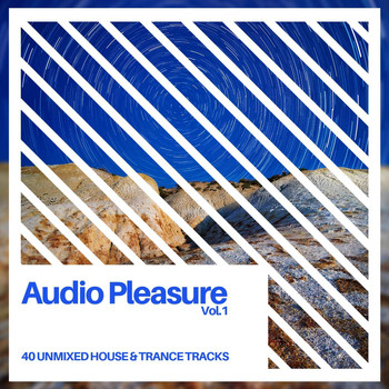 Various Artists - Audio Pleasure Vol.1 (Radio Edits)