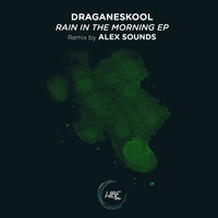 Draganeskool - Rain In The Morning EP