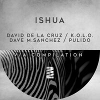 Dave M.Sanchez, David de la Cruz , Matt Mikke , Pulido - V/A Compilation