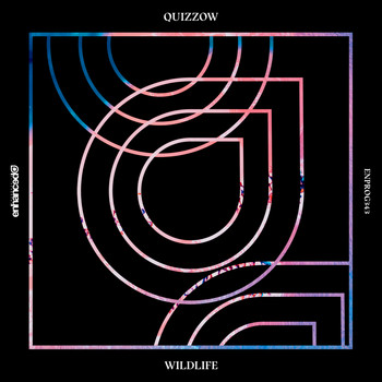 Quizzow - Wildlife