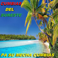 Cumbias Del Sureste - Pa Su Mecha Cumbias