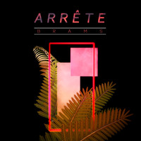 PREC and Brams - Arrête