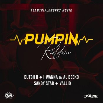 Various Artists - Pumpin Riddim