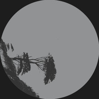 Felix K - Momentum