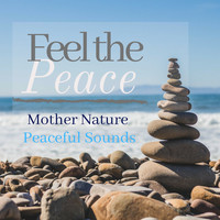 Meditation Krishna - Feel the Peace - Mother Nature Peaceful Sounds
