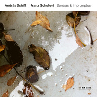 András Schiff - Schubert: 4 Impromptus, Op. 90, D. 899: 3. Andante