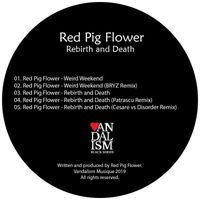 Red Pig Flower - Rebirth and Death