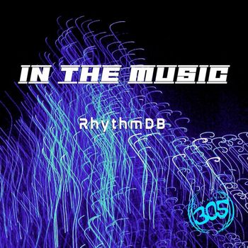 RhythmDB - In The Music