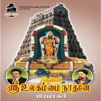 Prabhakar - Tenkasi Ulagammai Naathane
