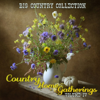 Various Artist - Big Country Collection: Country Home Gatherings, Vol. 4