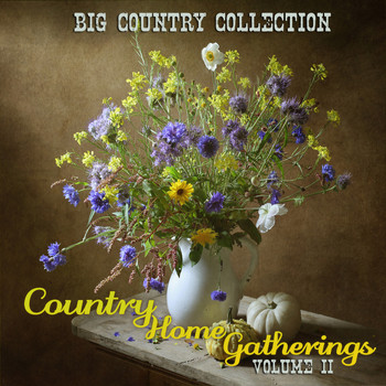 Various Artist - Big Country Collection: Country Home Gatherings, Vol. 2