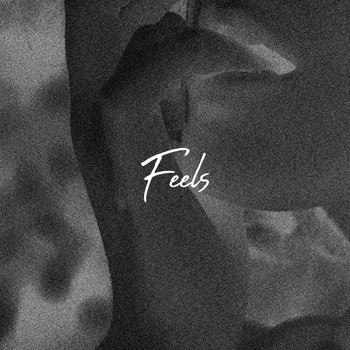 Paloma - Feels
