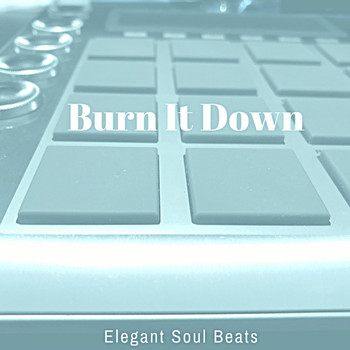 Elegant Soul Beats - Burn It Down