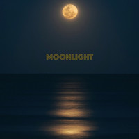 MAII - Moonlight