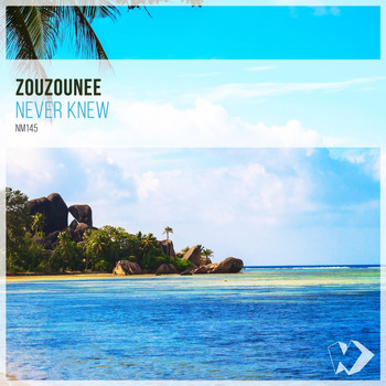 Zouzounee - Never Knew