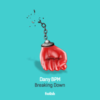 Dany BPM - Breaking Down (Radio Edit)