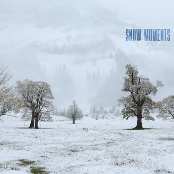 Various Artists - Snow Moments