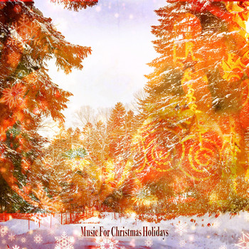Robert Johnson - Music For Christmas Holidays