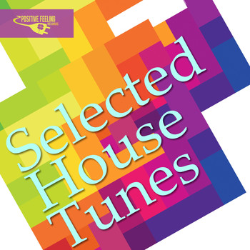 Various Artists - Selected House Tunes