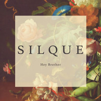 SILQUE - Hey Brother