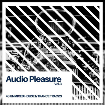 Various Artists - Audio Pleasure Vol.3