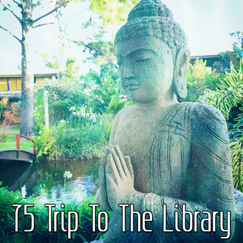 Healing Yoga Meditation Music Consort - 75 Trip To The Library