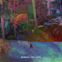 Matt Corby - Miracle Love (Live)