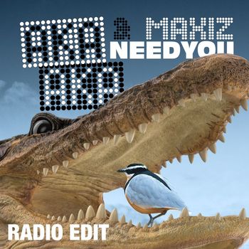 AKA AKA & Maxiz - Need You (Radio Edit)