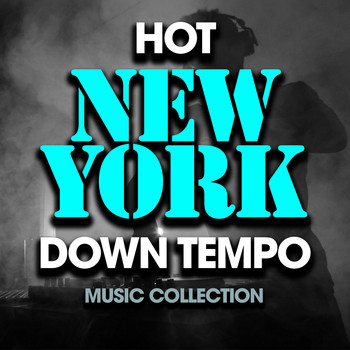 Various Artists - Hot New York Downtempo Music Collection