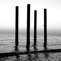 Fiona Brice - String Quartet No.1 Mvt1 (Holographic Field Rework)