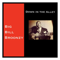 Big Bill Broonzy - Down in the Alley