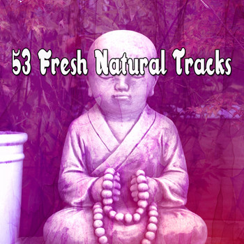 Brain Study Music Guys - 53 Fresh Natural Tracks