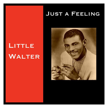 Little Walter - Just a Feeling