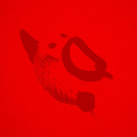 Bruuno - Deconcentrazione