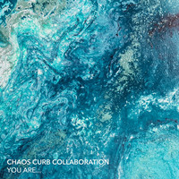 Chaos Curb Collaboration - You Are...