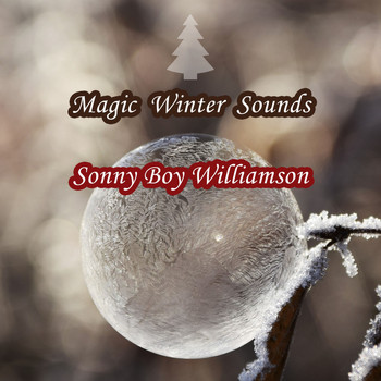 Sonny Boy Williamson - Magic Winter Sounds