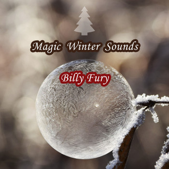 Billy Fury - Magic Winter Sounds