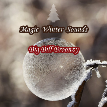 Big Bill Broonzy - Magic Winter Sounds