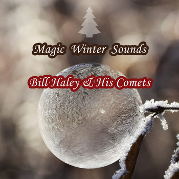 Bill Haley & His Comets - Magic Winter Sounds