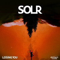 SOLR - Losing You