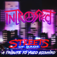 Introspect - Streets of Rage