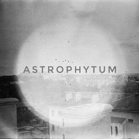 Astrophytum - Astrophytum